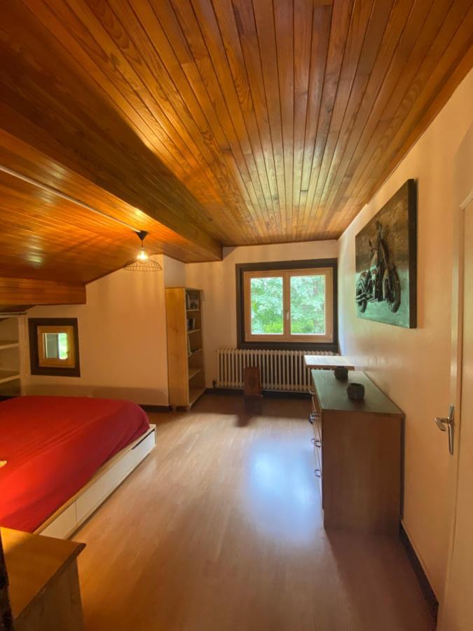 Logement Mansarde Dans Maison Avec Jardin En Bord De Piste, Vue Montagne レ・ズッシュ エクステリア 写真